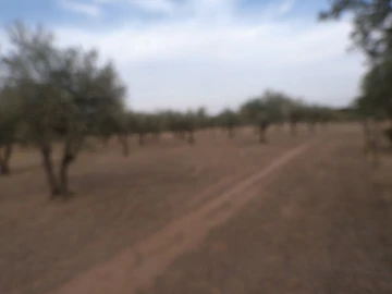 Terreno Agricola ou Rústico para Venda em Barbacena e Vila Fernando