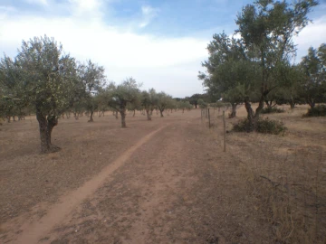 Terreno Agricola ou Rústico para Venda em Barbacena e Vila Fernando