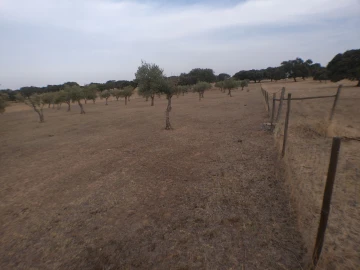 Terreno Agricola ou Rústico para Venda em Barbacena e Vila Fernando