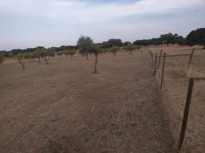 Terreno Agricola ou Rústico para Venda em Barbacena e Vila Fernando Foto 5