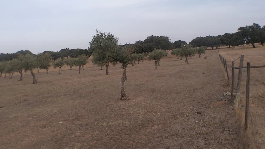 Terreno Agricola ou Rústico para Venda em Barbacena e Vila Fernando