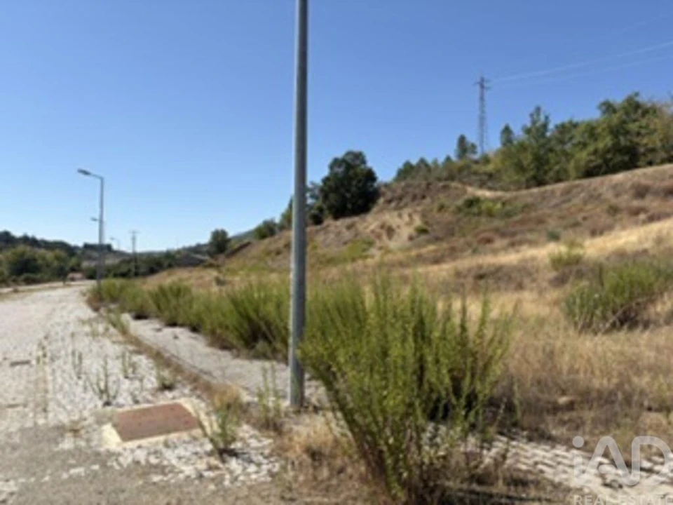 Terreno para Venda em Rebordãos Foto 2