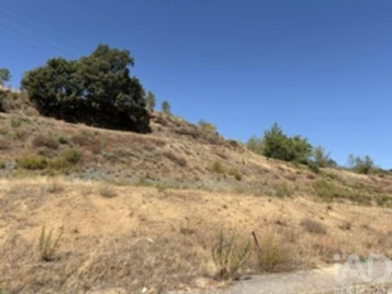 Terreno para Venda em Rebordãos