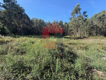 Quinta para Venda em Vila Verde e Barbudo