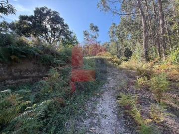 Quinta para Venda em Vila Verde e Barbudo