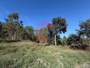 Quinta para Venda em Vila Verde e Barbudo