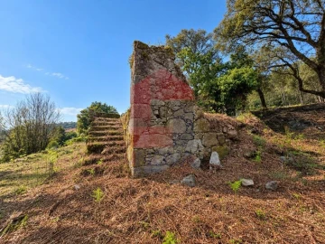 Quinta para Venda em Vila Verde e Barbudo
