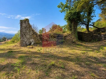 Quinta para Venda em Vila Verde e Barbudo