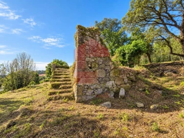 Quinta para Venda em Vila Verde e Barbudo
