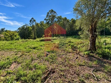 Quinta para Venda em Vila Verde e Barbudo