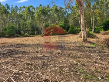 Quinta para Venda em Vila Verde e Barbudo