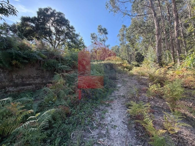 Quinta para Venda em Vila Verde e Barbudo Foto 19