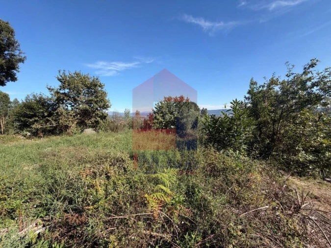 Quinta para Venda em Vila Verde e Barbudo Foto 18