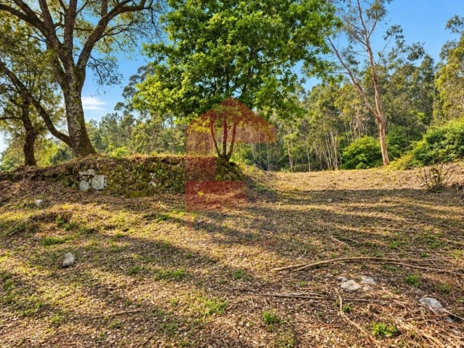 Quinta para Venda em Vila Verde e Barbudo Foto 4