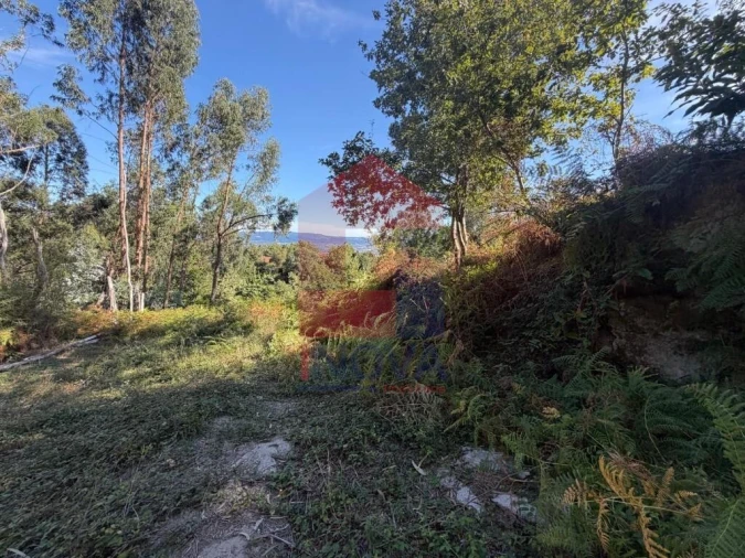 Quinta para Venda em Vila Verde e Barbudo Foto 21