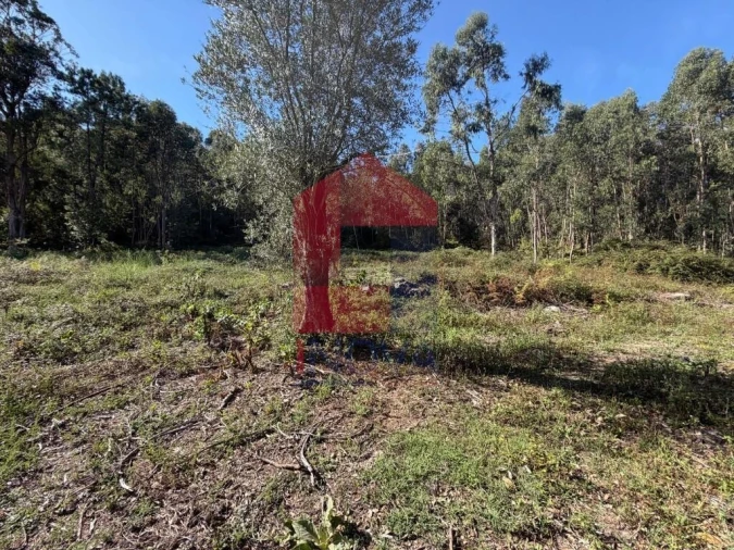 Quinta para Venda em Vila Verde e Barbudo Foto 17