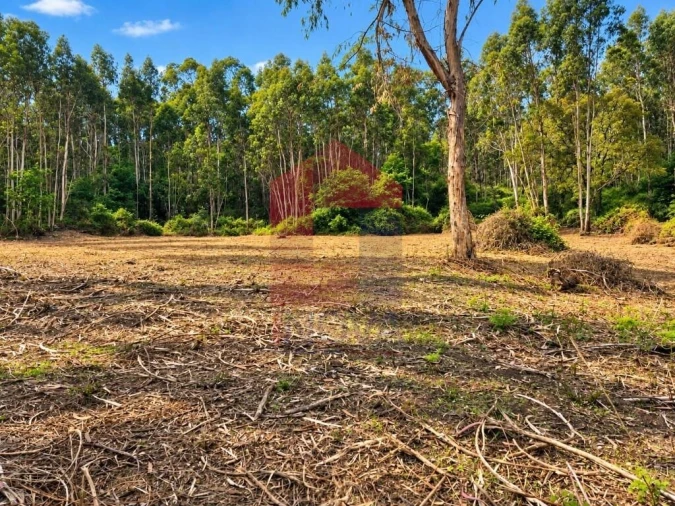 Quinta para Venda em Vila Verde e Barbudo Foto 7