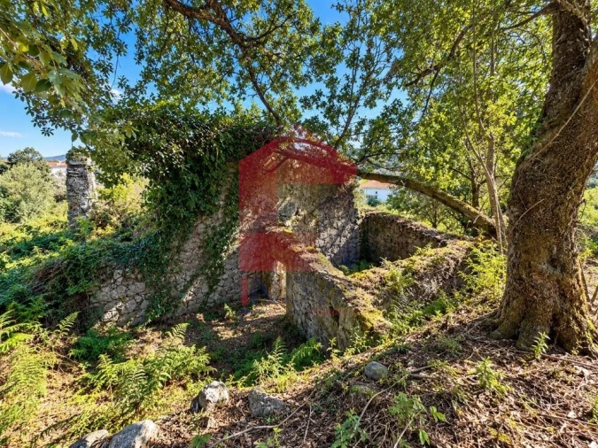 Quinta para Venda em Vila Verde e Barbudo Foto 10