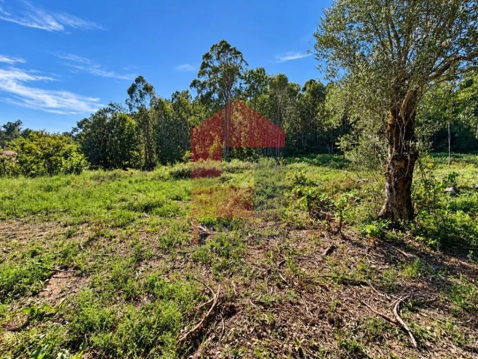 Quinta para Venda em Vila Verde e Barbudo Foto 13