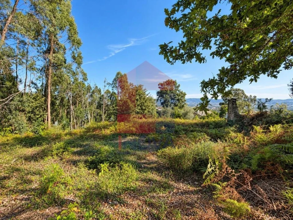 Quinta para Venda em Vila Verde e Barbudo Foto 11
