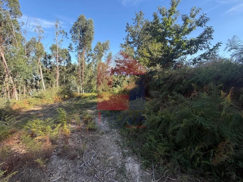 Quinta para Venda em Vila Verde e Barbudo Foto 20