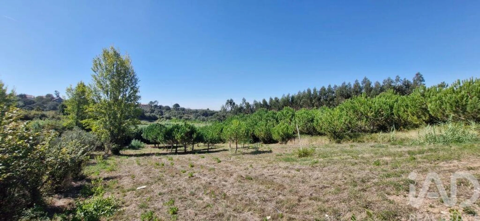 Moradia T4 para Venda em Benedita Foto 5