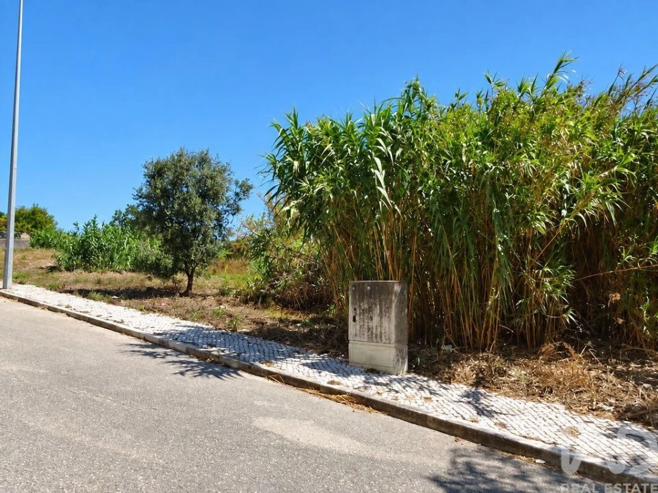 Terreno para Venda em Buarcos Foto 1