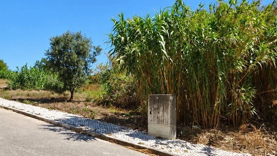 Terreno para Venda em Buarcos