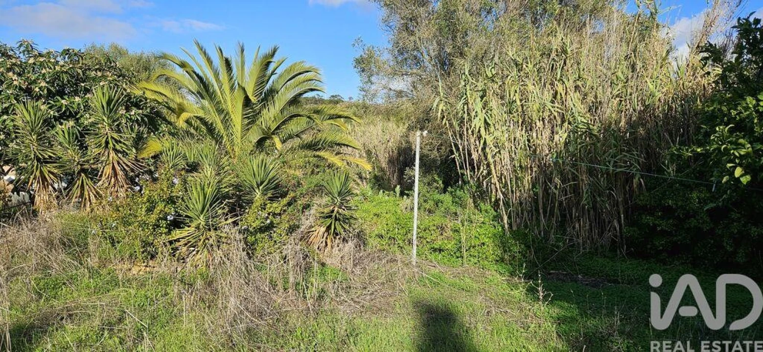 Terreno para Venda em Barão de São Miguel Foto 9