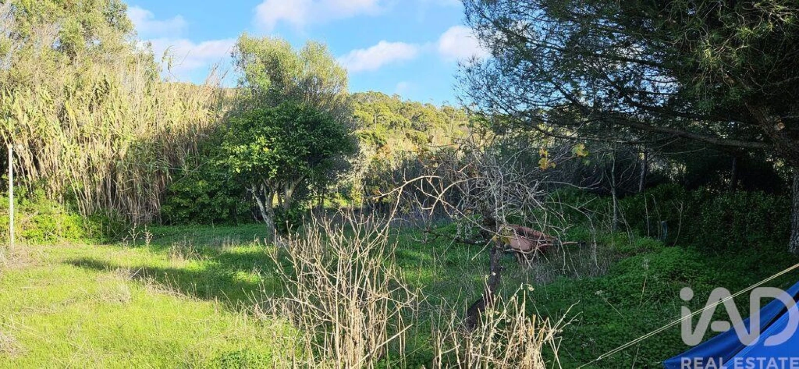 Terreno para Venda em Barão de São Miguel Foto 12