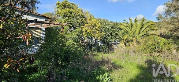 Terreno para Venda em Barão de São Miguel