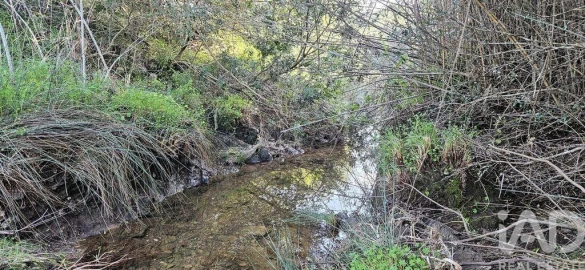 Terreno para Venda em Barão de São Miguel