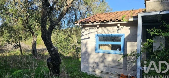 Terreno para Venda em Barão de São Miguel