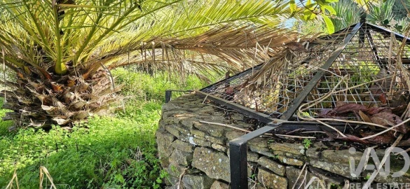 Terreno para Venda em Barão de São Miguel