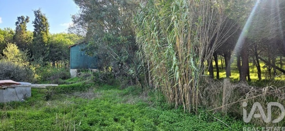 Terreno para Venda em Barão de São Miguel