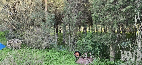 Terreno para Venda em Barão de São Miguel