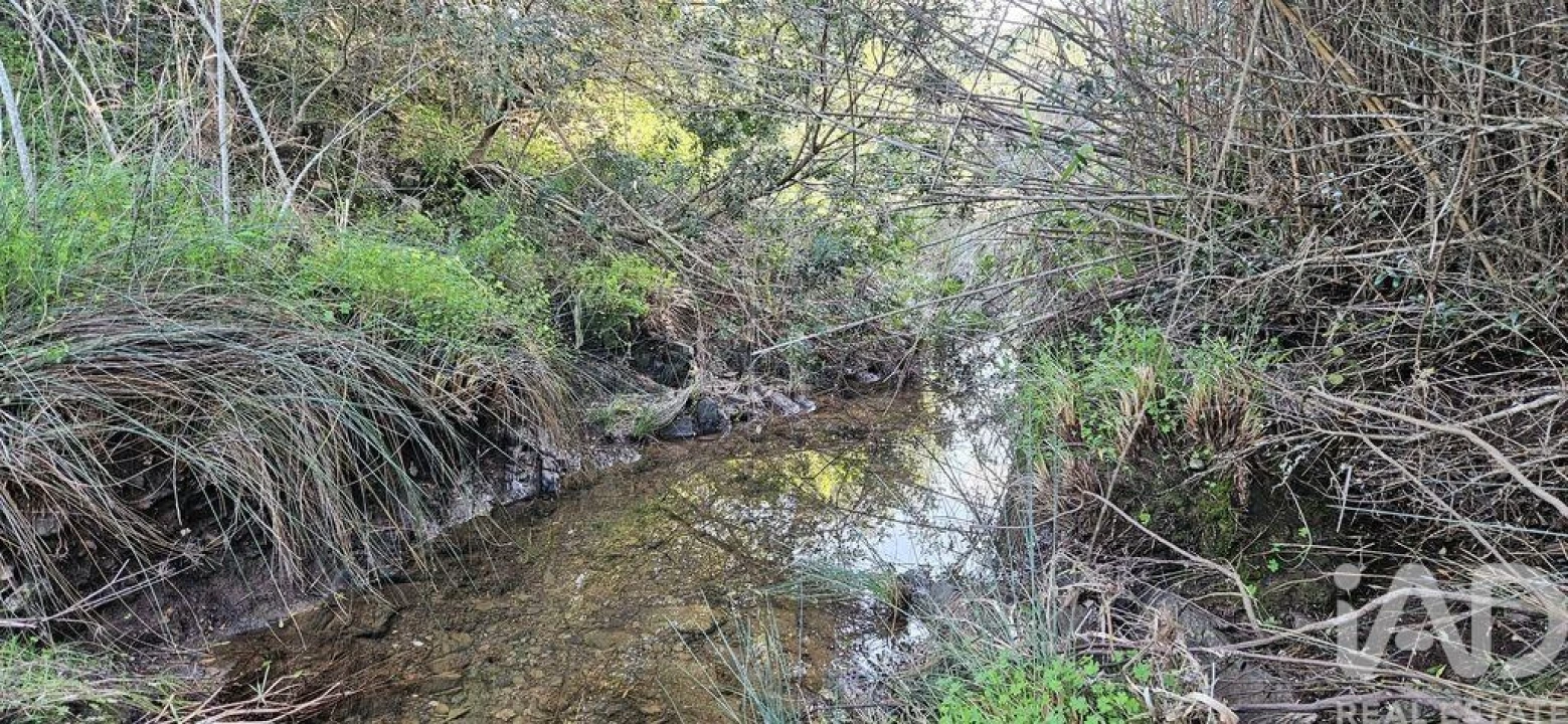 Terreno para Venda em Barão de São Miguel Foto 22