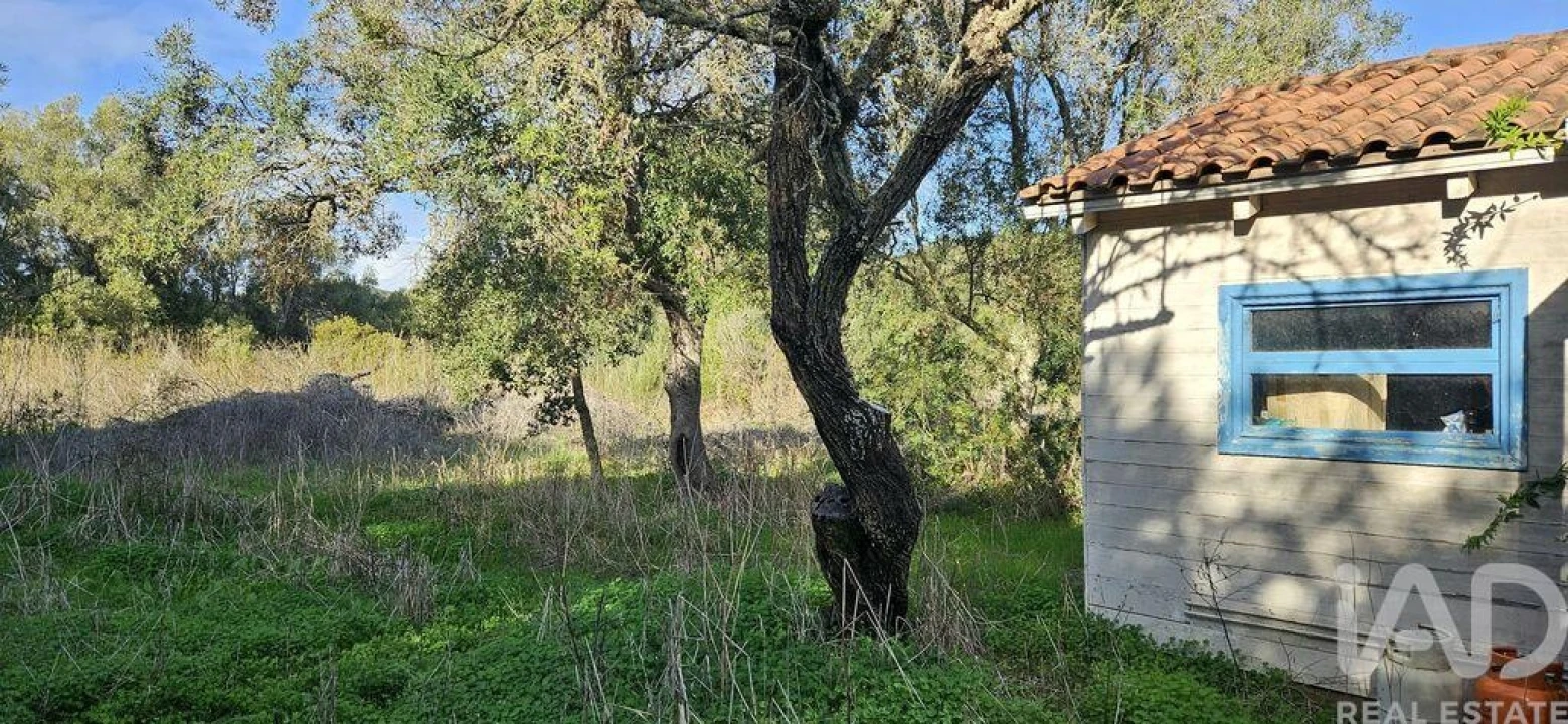 Terreno para Venda em Barão de São Miguel Foto 7