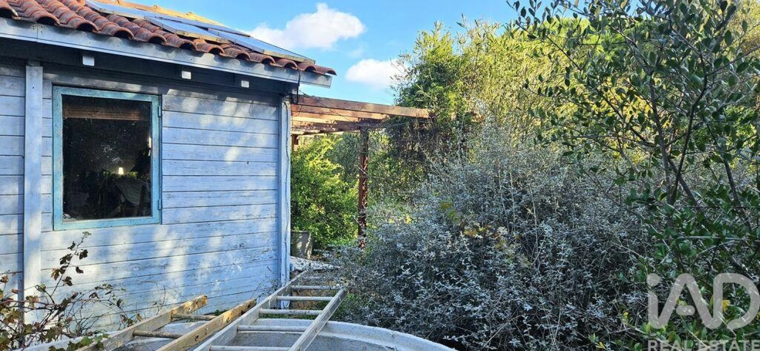 Terreno para Venda em Barão de São Miguel Foto 4