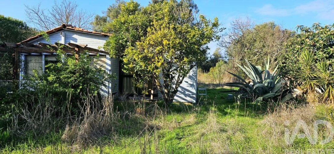 Terreno para Venda em Barão de São Miguel Foto 2
