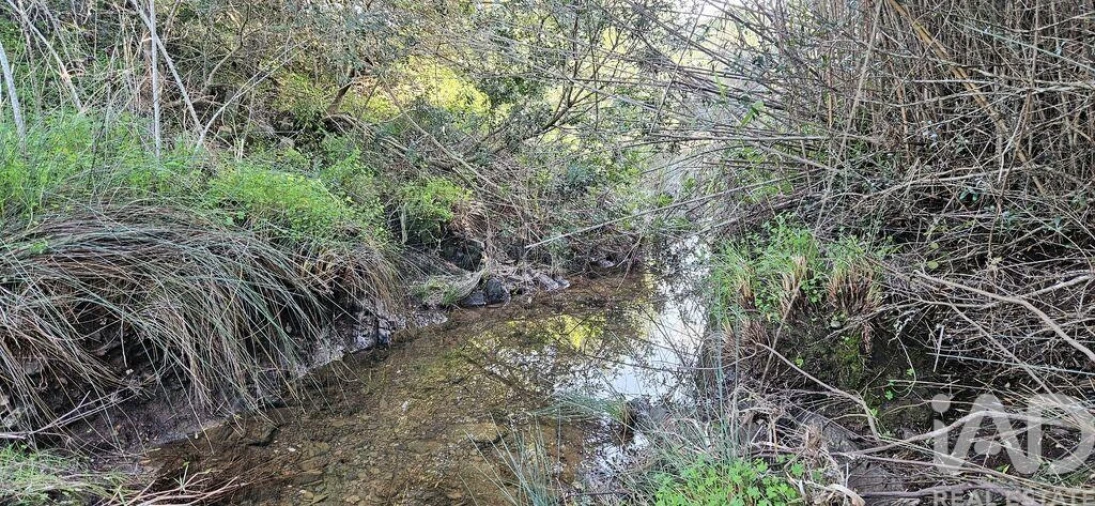 Terreno para Venda em Barão de São Miguel Foto 22