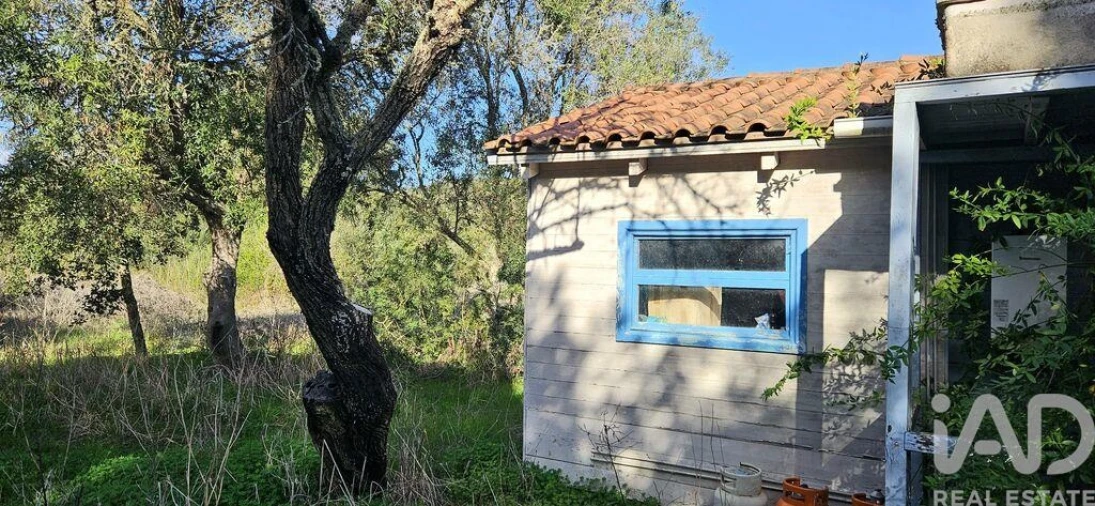 Terreno para Venda em Barão de São Miguel Foto 19