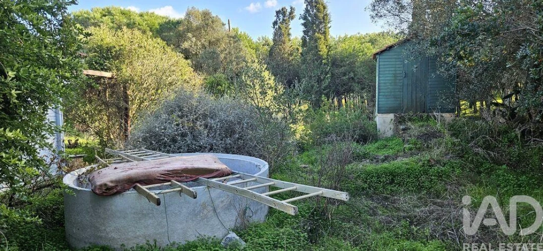 Terreno para Venda em Barão de São Miguel Foto 18
