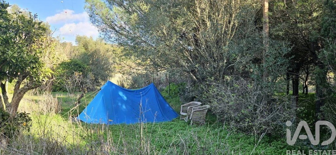 Terreno para Venda em Barão de São Miguel Foto 17