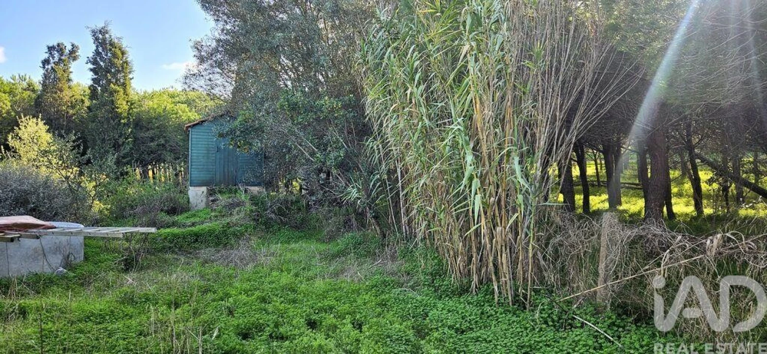 Terreno para Venda em Barão de São Miguel Foto 6
