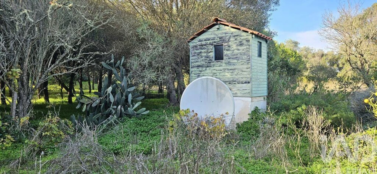 Terreno para Venda em Barão de São Miguel Foto 13