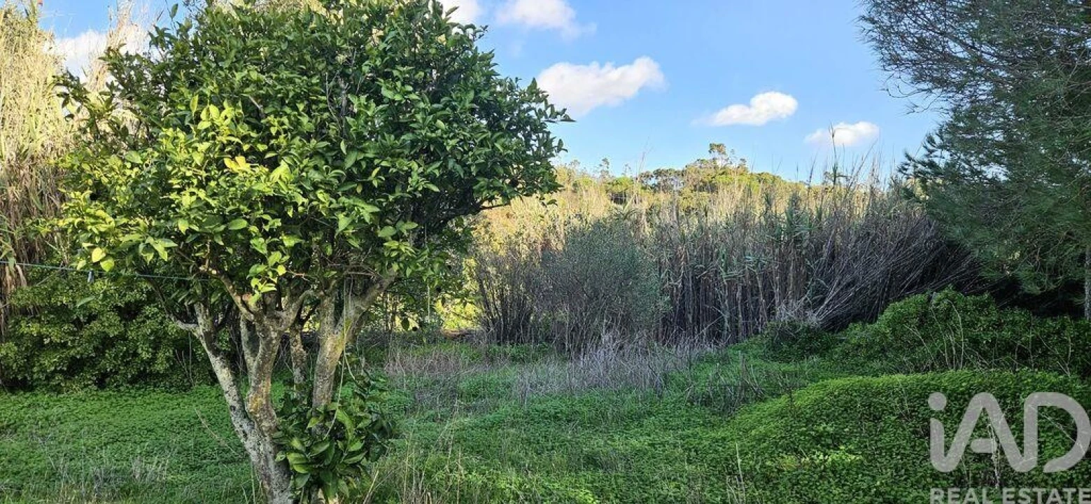 Terreno para Venda em Barão de São Miguel Foto 10
