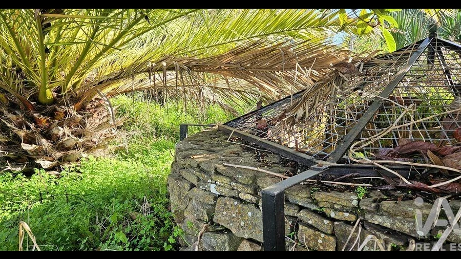 Terreno para Venda em Barão de São Miguel