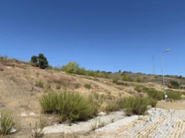 Terreno para Venda em Rebordãos