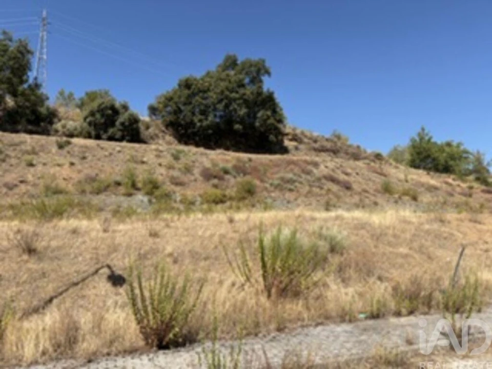 Terreno para Venda em Rebordãos Foto 19